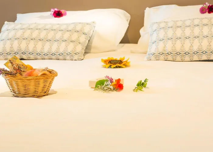 Hotel Le Troubadour A