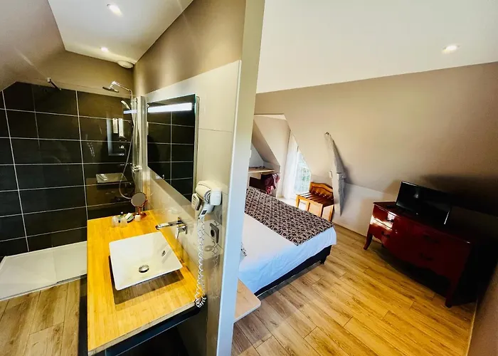 Hotel Le Troubadour A 3*